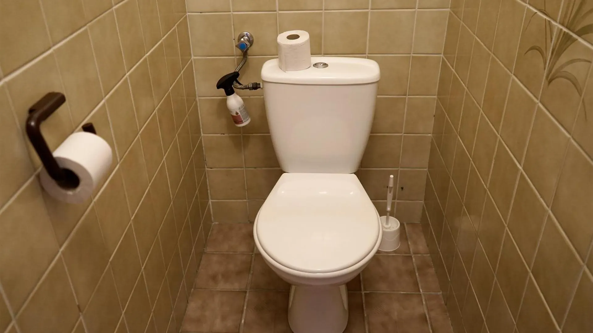 Hostel Dom Studencki Centaur Pansiyon Wroclaw